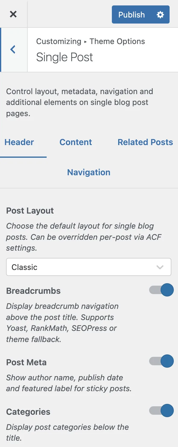 The Single Post panel in the Customizer
