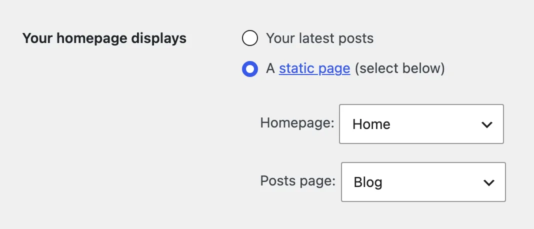 WordPress Reading settings with Your homepage displays set to a static page, Home as the homepage and Blog as the posts page.