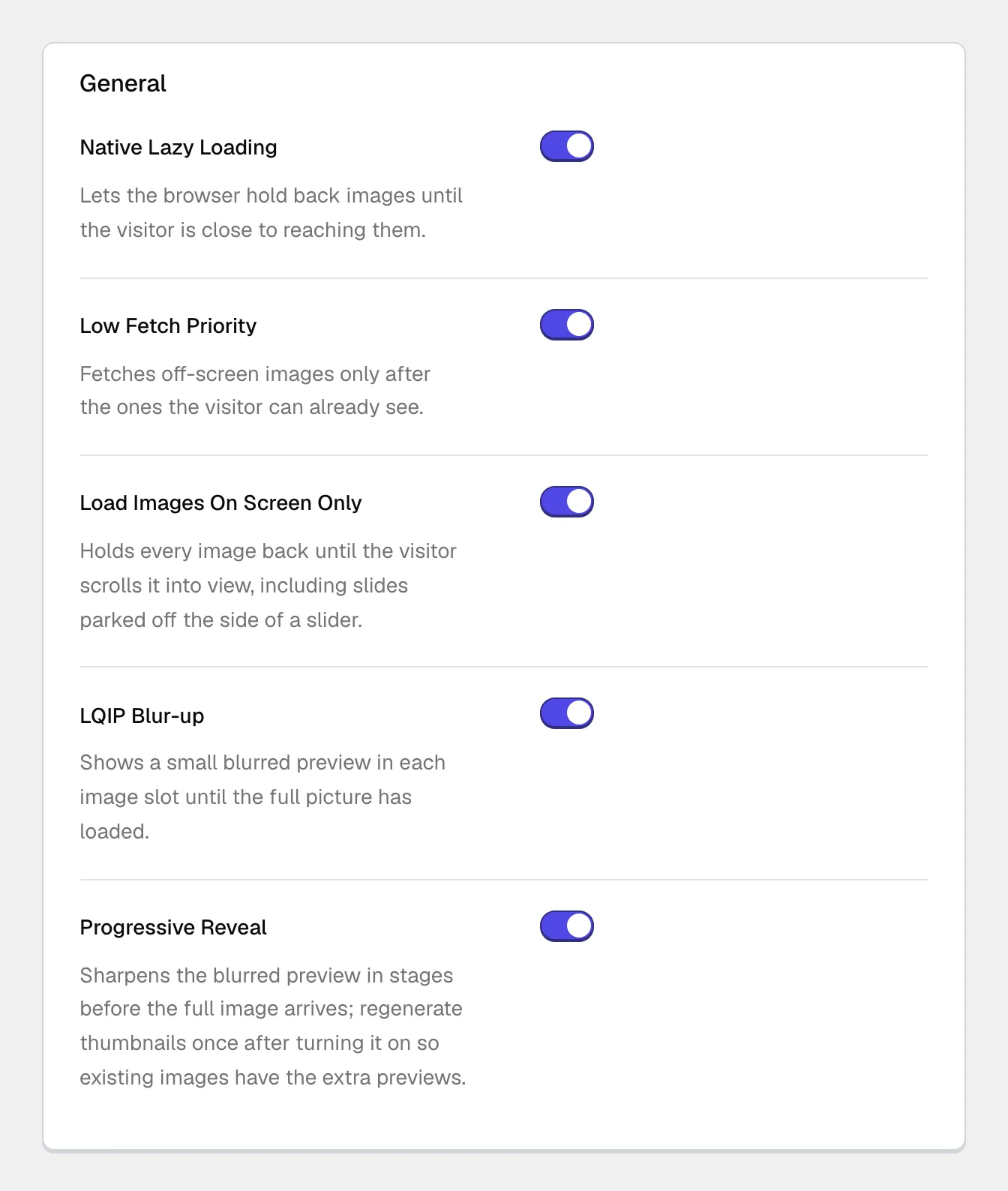 The General group of the LQIP Media settings with five switches, all turned on