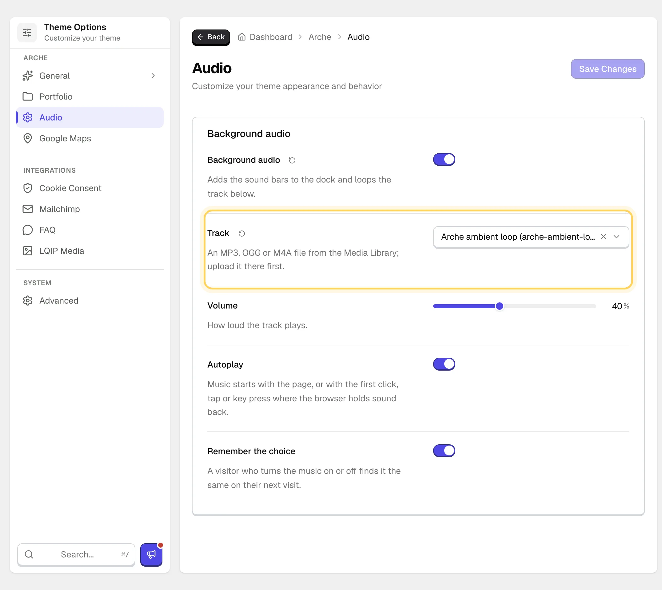 The Audio page of Theme Options with Background audio on, a track chosen in the Track field, Volume at 40% and Autoplay and Remember the choice on