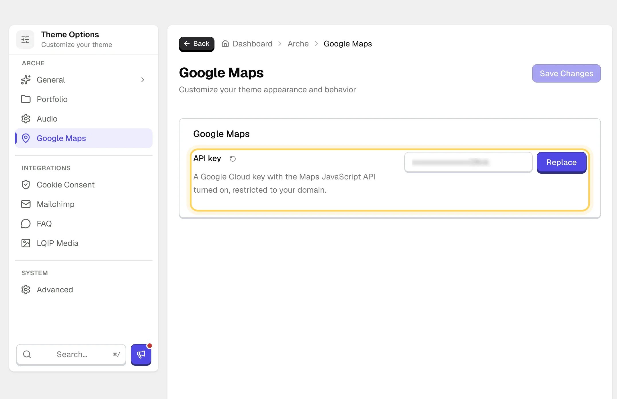 The Google Maps page of Theme Options with a saved API key, hidden, and a Replace button